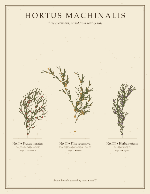 Hortus Machinalis, a herbarium plate with three branching plants labelled in Latin-style captions on cream paper